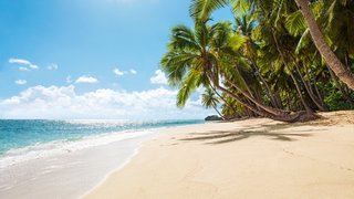 Ein feiner Sandstrand mit Palmen und türkisblauem Meer