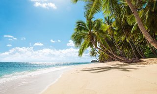 Ein feiner Sandstrand mit Palmen und türkisblauem Meer